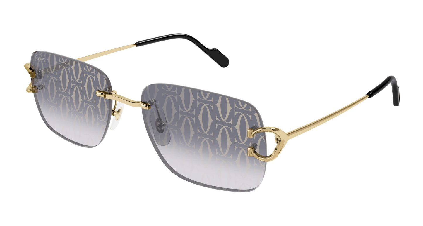 Cartier - CT0330S 008